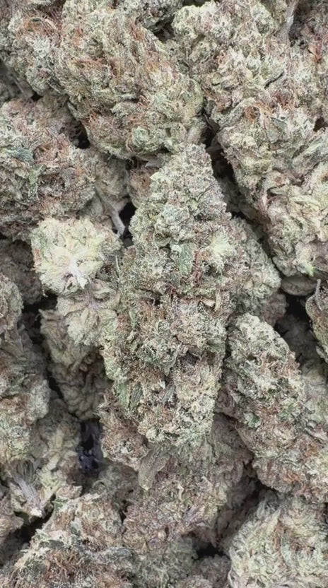 Load video: Grease Monkey - Bulk - Indica