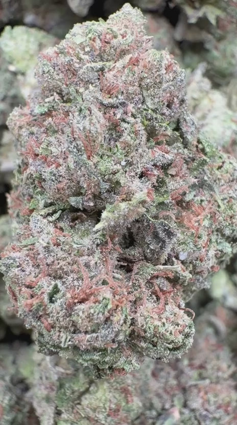 Load video: Hard Candy - Bulk - Indica