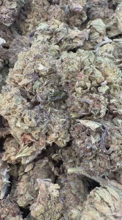 Load video: Cherry Runtz - Bulk- Hybrid