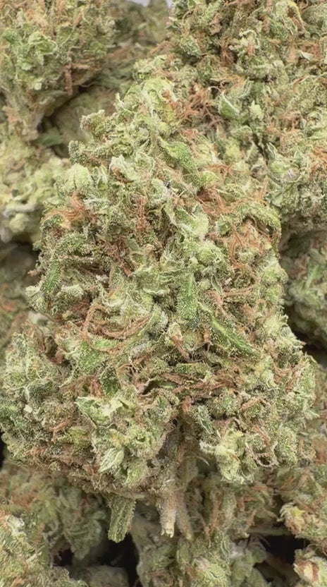 Load video: Green Crack - Bulk - Sativa