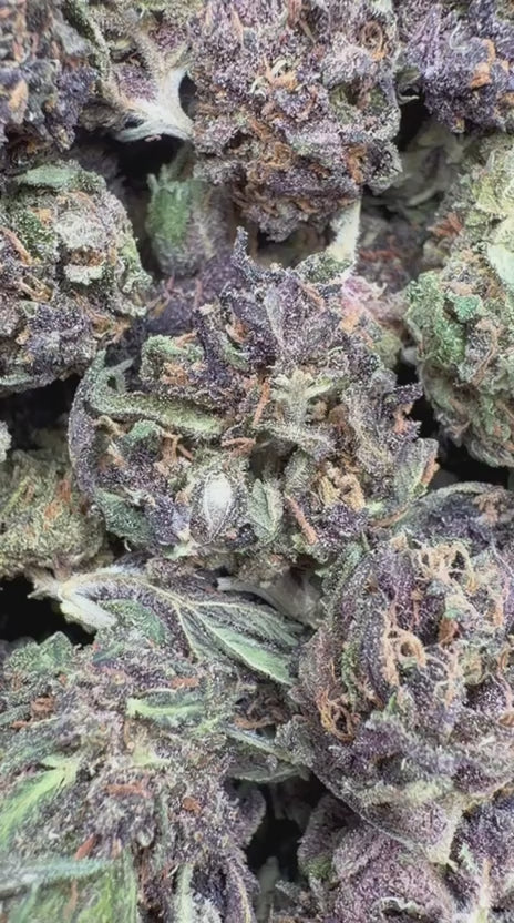 Cargar vídeo: Pop Cherry Littles - Littles a granel - Híbrido