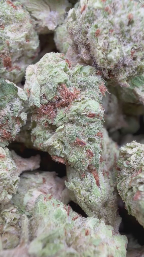 Cargar vídeo: Gelato Kush Littles - Bulk Littles - Indica