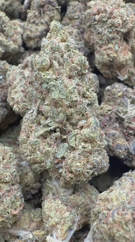 Load video: Acapulco Gold - Bulk - Sativa
