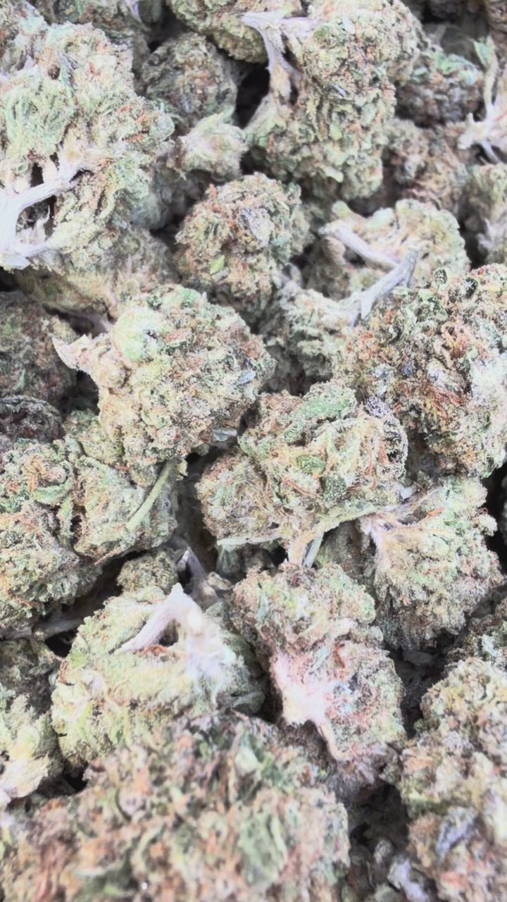 Load video: Barneys Biscotti Mediums - Bulk Mediums - Indica