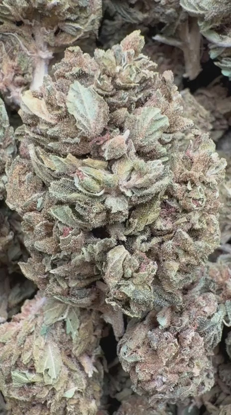 Load video: Durban Sweetz - Bulk - Sativa