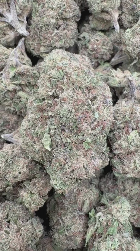 Load video: Lemon Cherry Gelato - Bulk - Hybrid