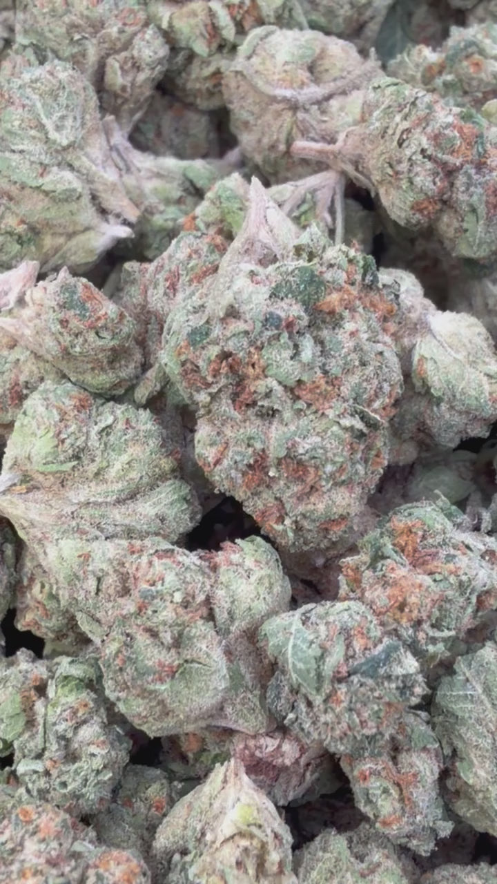 Load video: White Gelato Littles - Bulk Littles - Indica