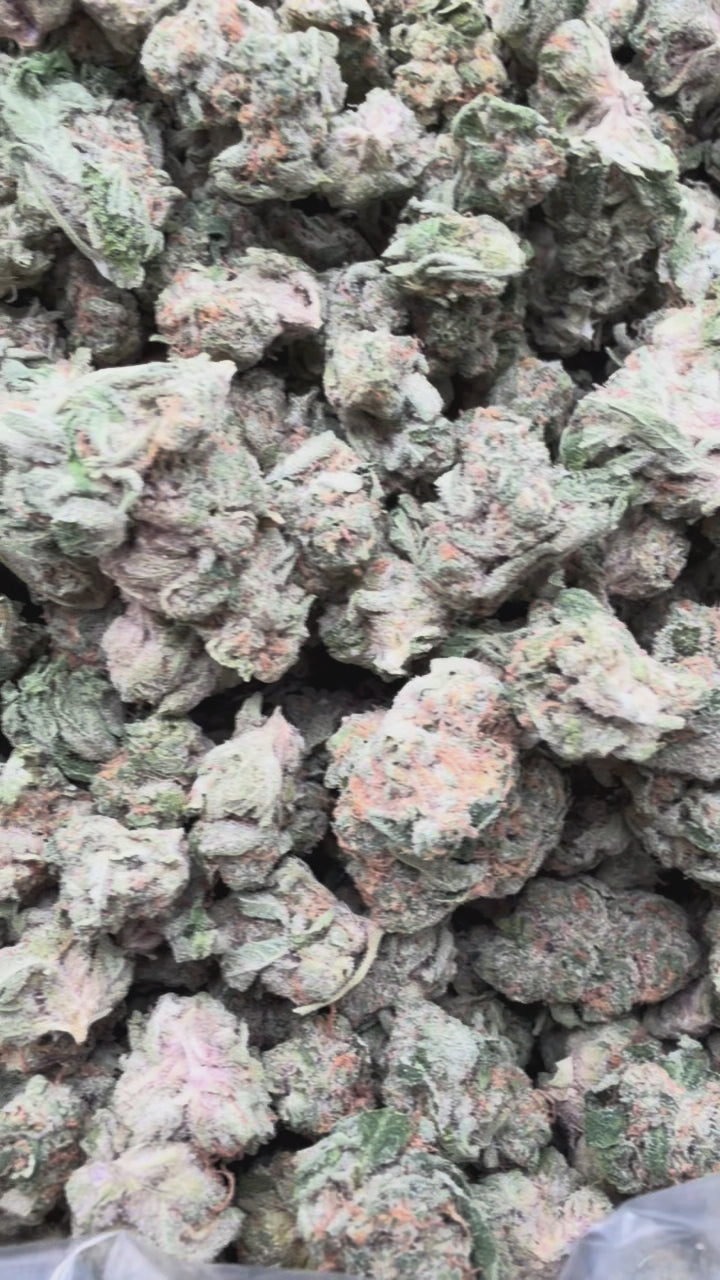 Load video: Super Boof Littles - Bulk Littles - Hybrid