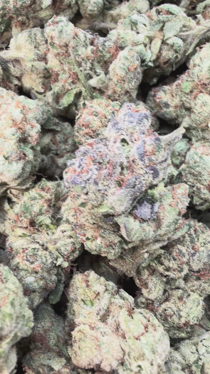 Load video: Biscotti 33 Indoor Mediums - Bulk Mediums - Indica