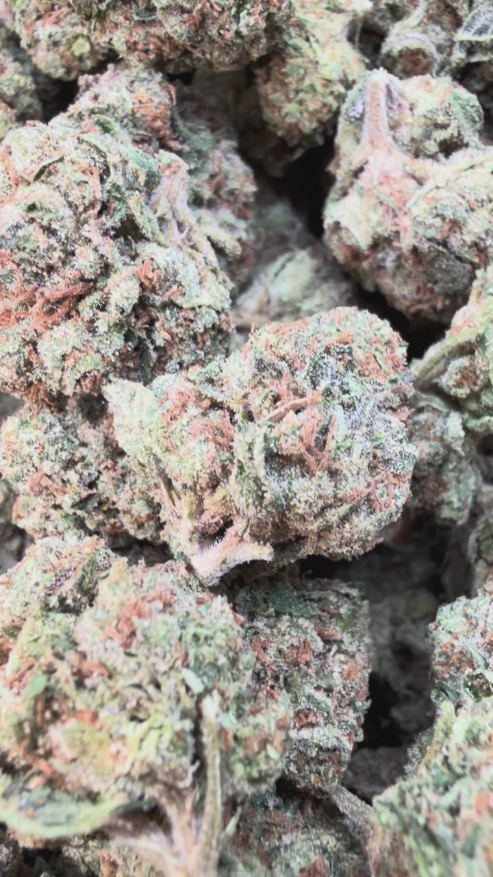 Load video: LA Runtz Mediums - Bulk Mediums - Hybrid