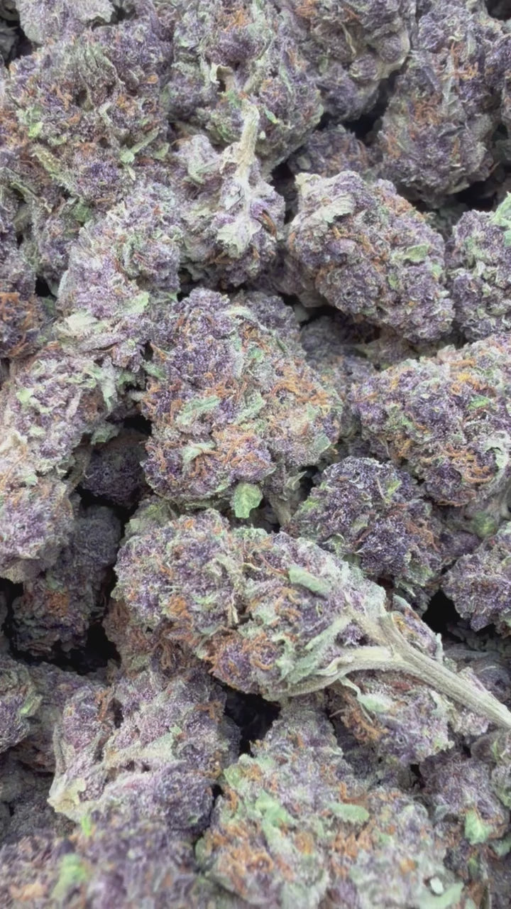 Load video: Trop Cherry Mediums - Bulk Mediums - Sativa