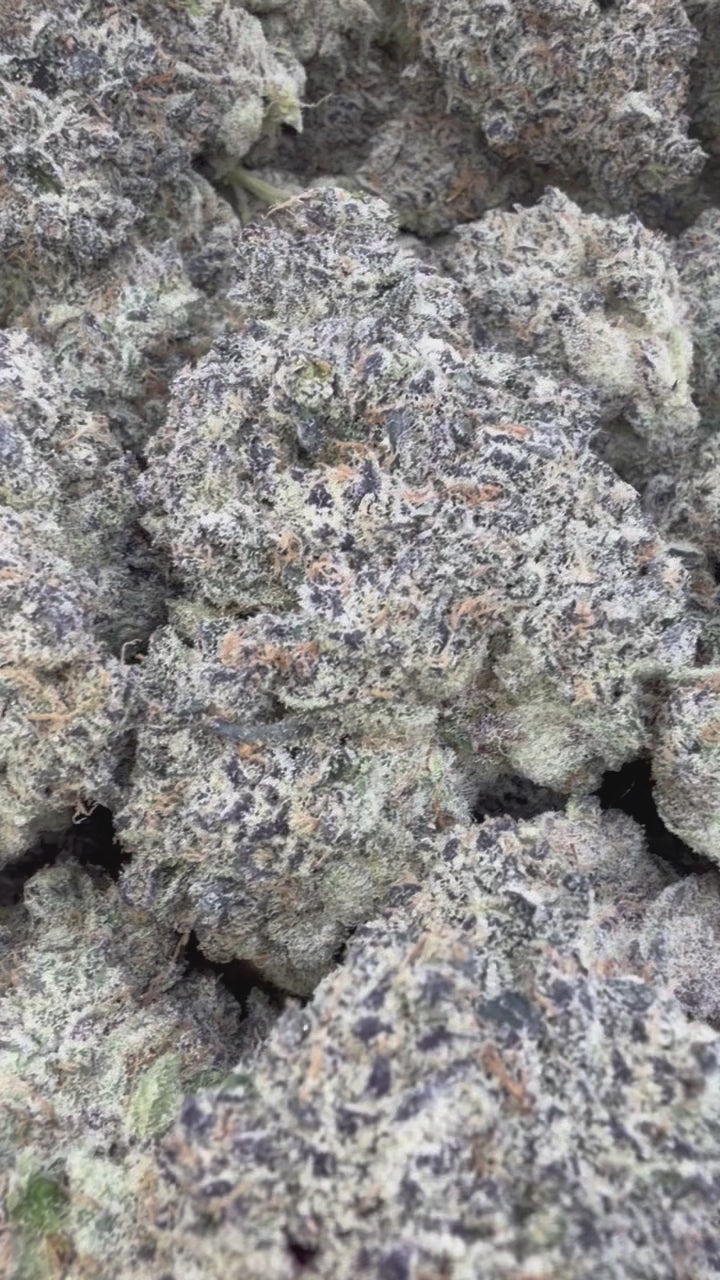 Load video: Cherry Warheads Indoor - Bulk - Hybrid