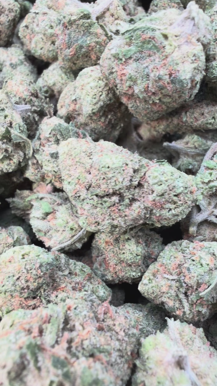 Load video: Acapulco Gold Mediums - Bulk Mediums - Sativa
