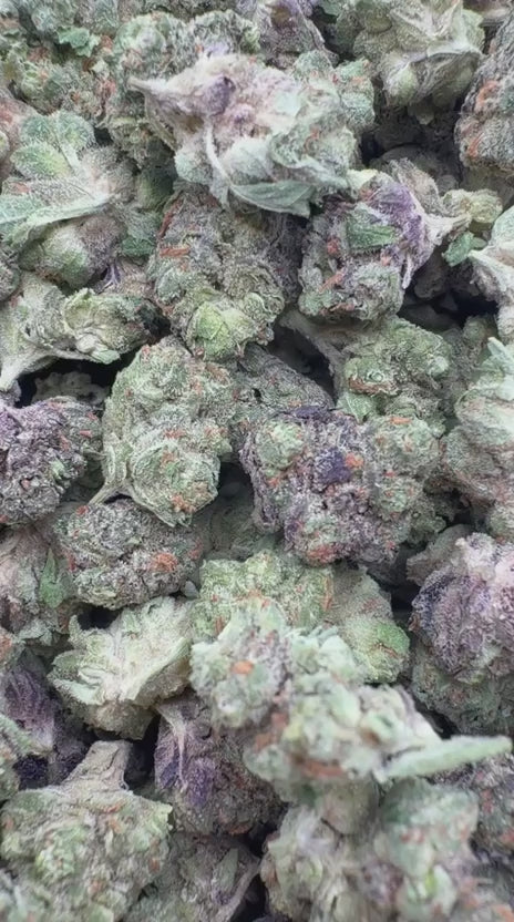 Load video: Jet Fuel Gelato Littles - Bulk Littles - Hybrid