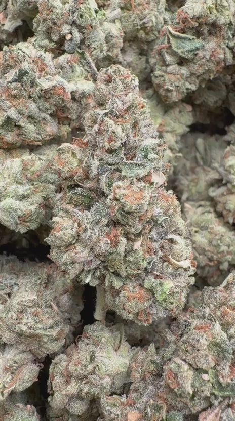 Load video: Super Runtz Indoor - Bulk - Hybrid