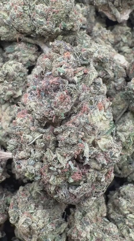 Cargar vídeo: Paletas de crema de naranja - A granel - Sativa