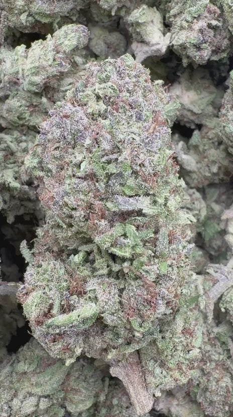 Load video: Blueberry Cough - Bulk - Sativa
