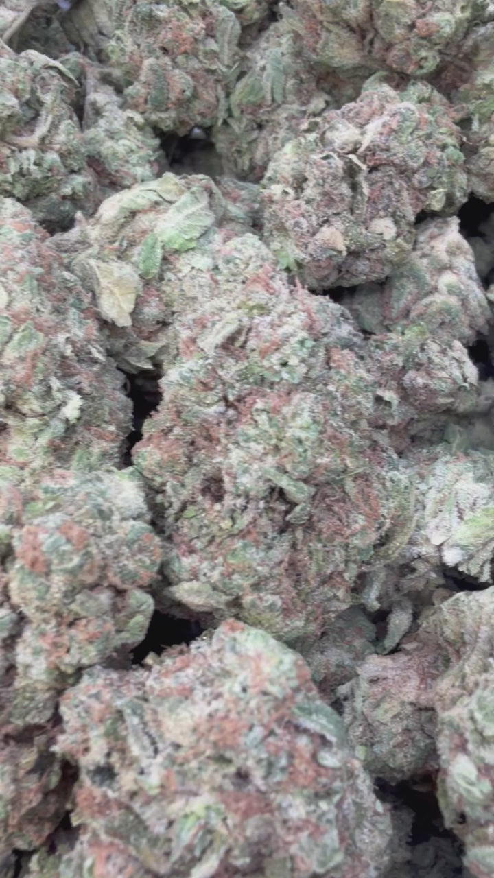 Load video: Gelonade - Bulk - Sativa