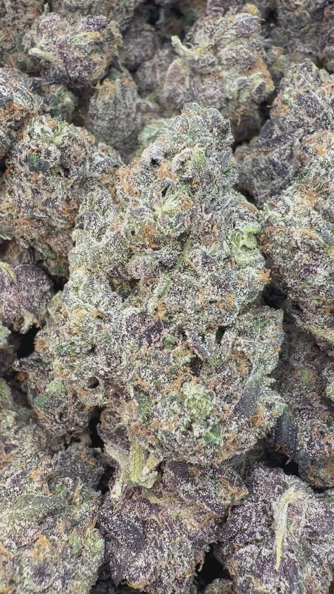 Load video: Elite Boutique Exotics Whaam Candy - Bulk - Hybrid