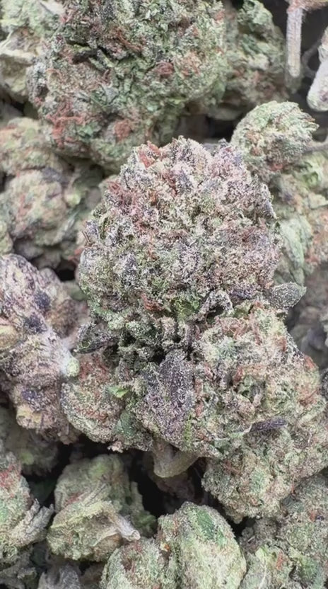 Load video: Black Cherry Soda - Bulk - Indica