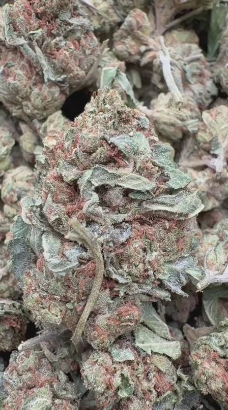 Load video: LA Confidential - Bulk - Indica