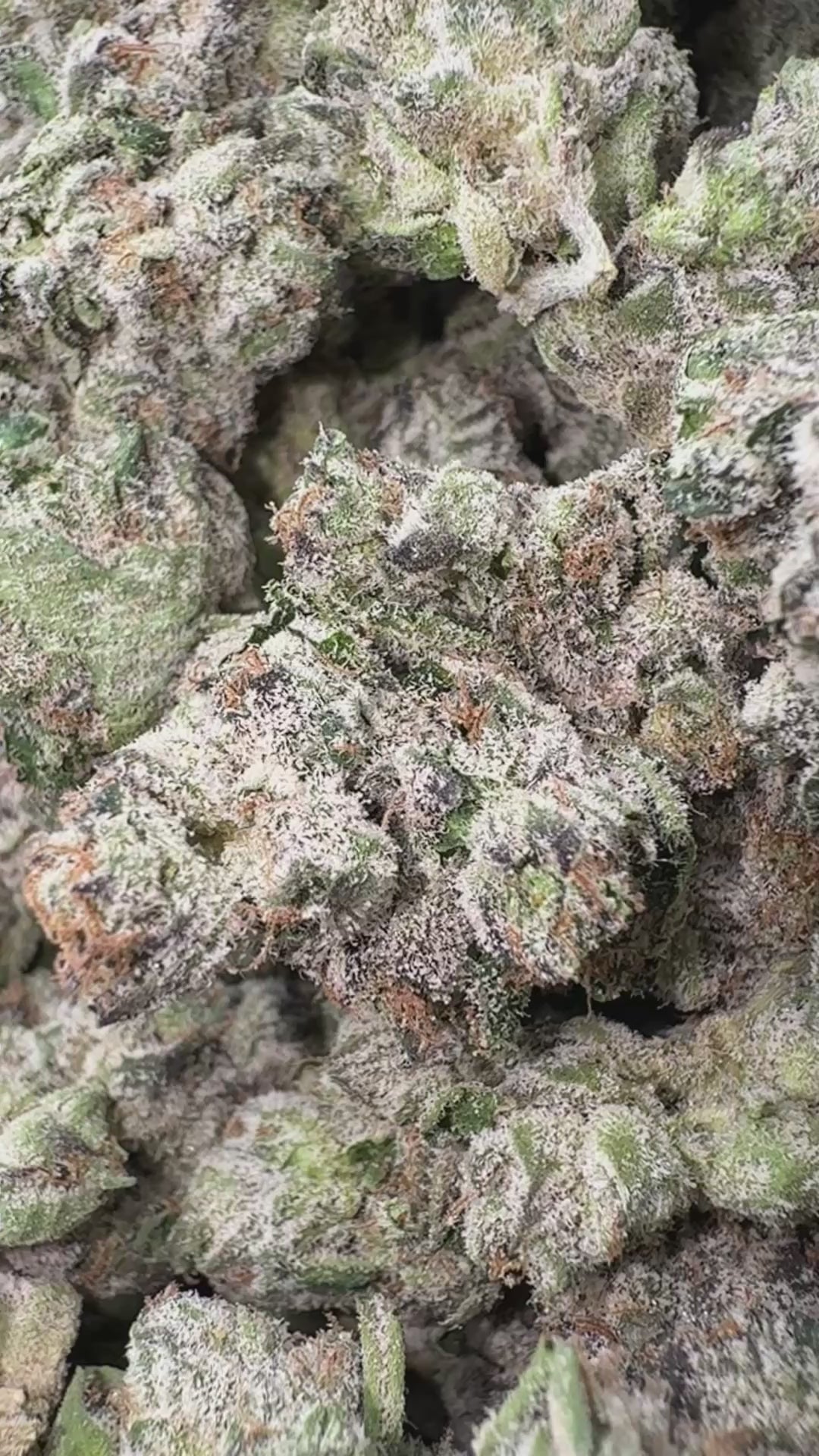 Load video: Boutique Exotics Lemon Dior - Bulk - Hybrid