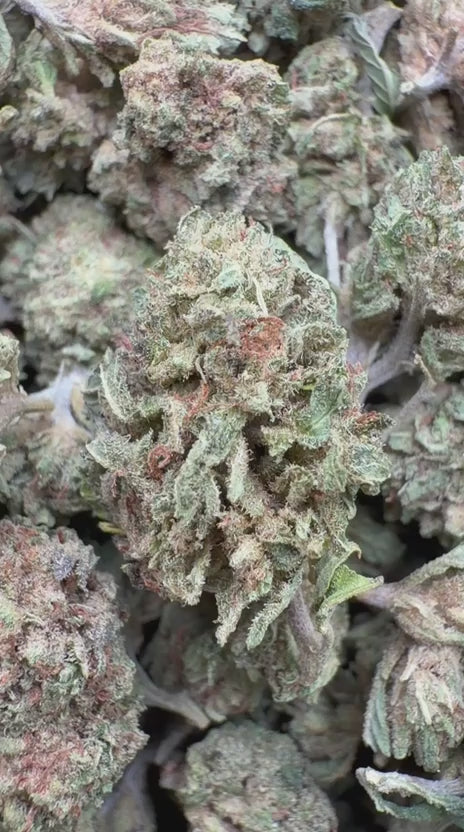 Load video: Chem Dawg Littles - Bulk Littles - Hybrid