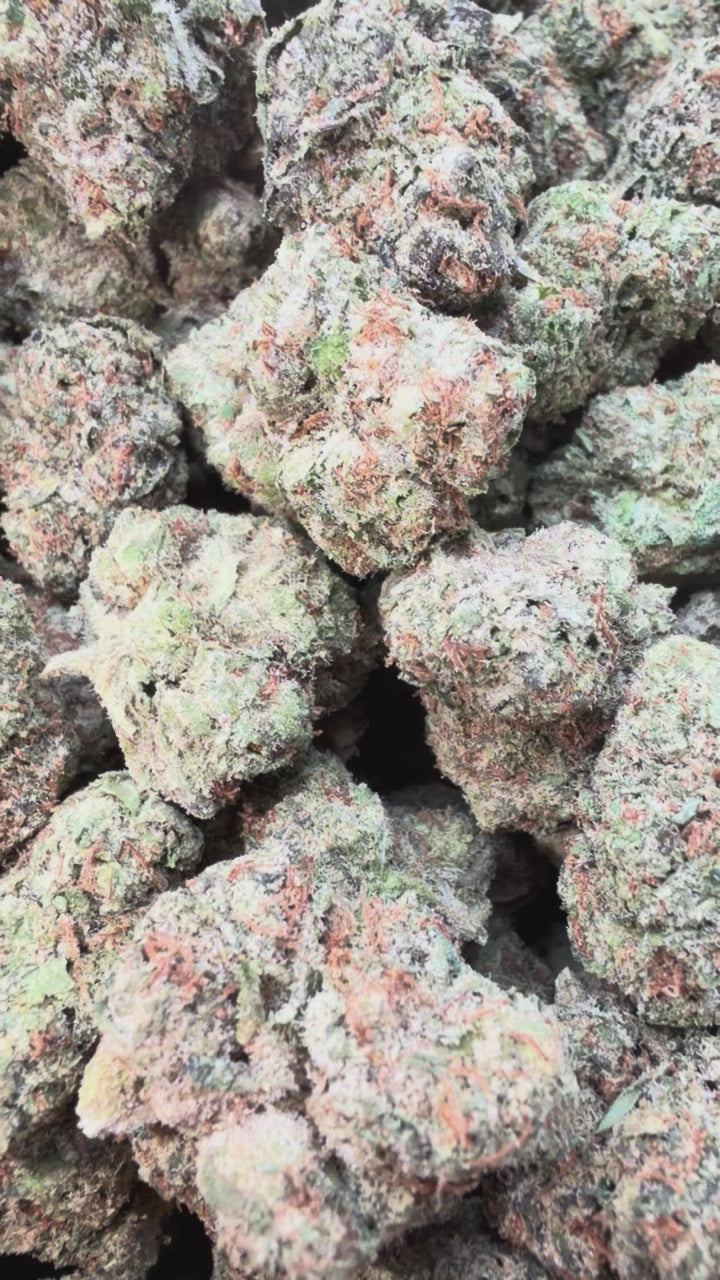 Load video: White Nerds Mediums - Bulk Mediums - Hybrid