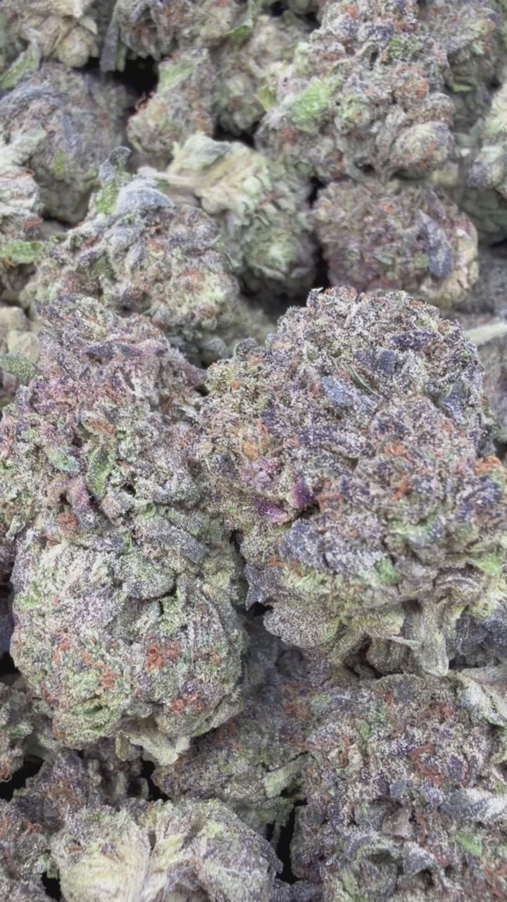Load video: Purple Nerdz - Bulk - Indica