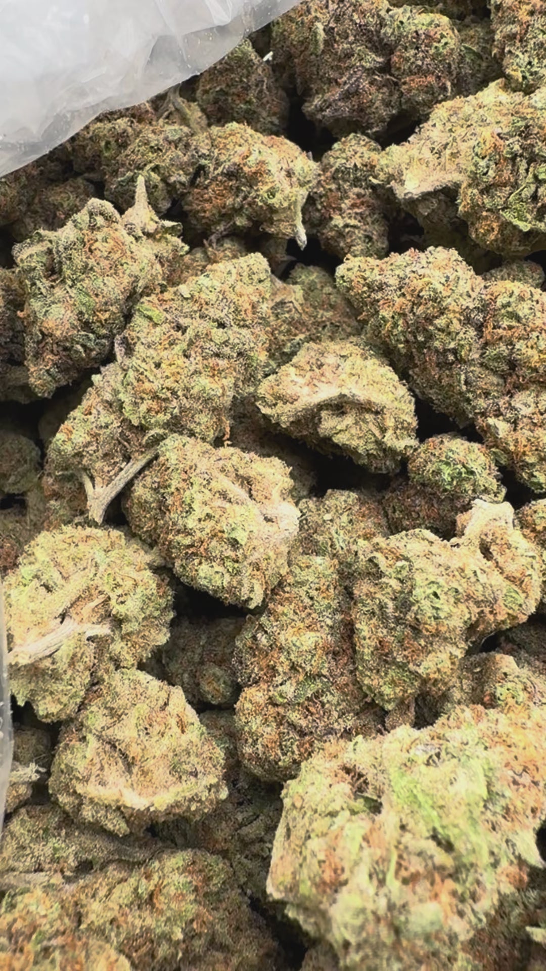 Load video: Butter Pina - Bulk  - Indica