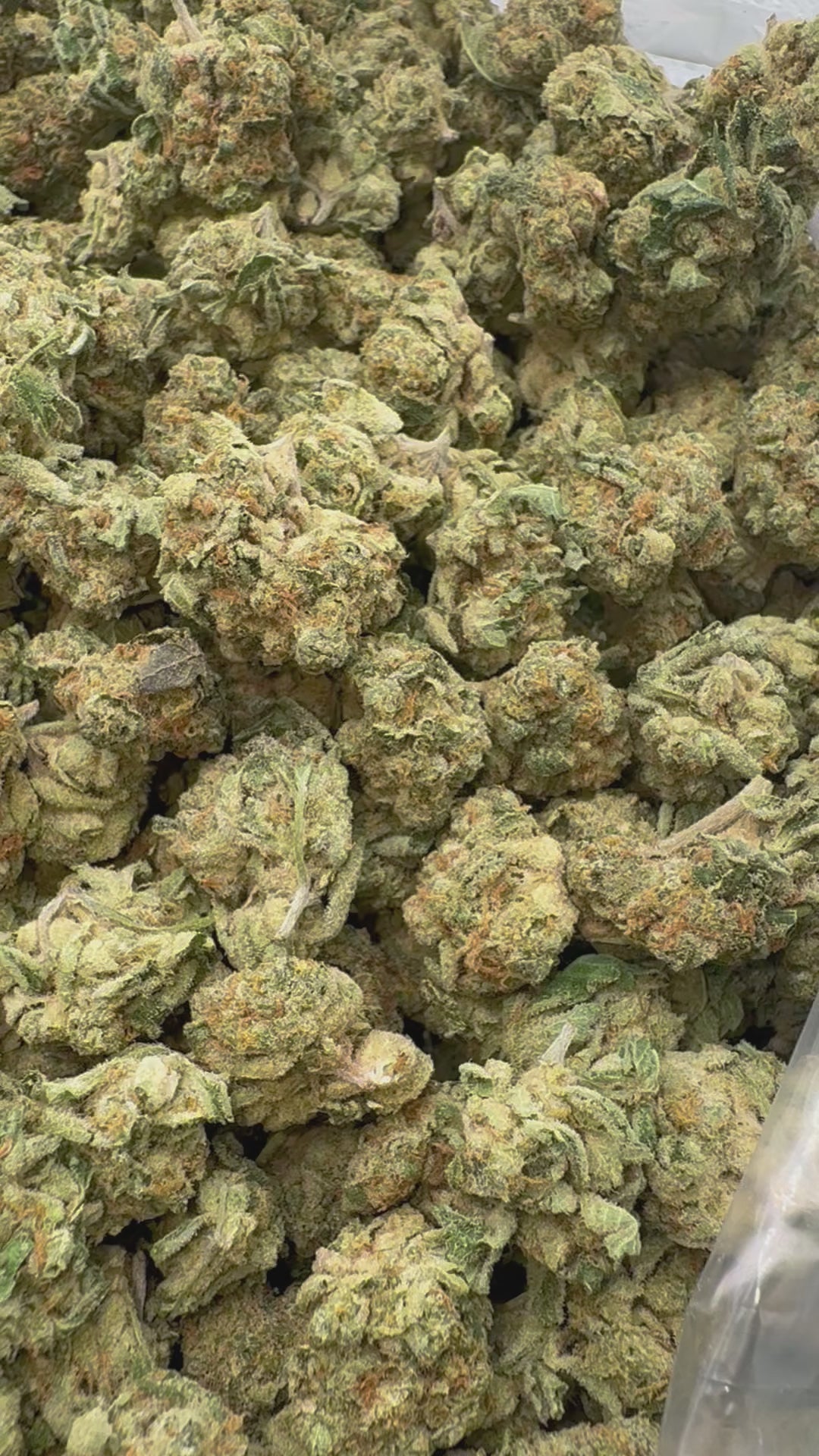 Load video: Butter Pina Mediums - Bulk Mediums - Indica