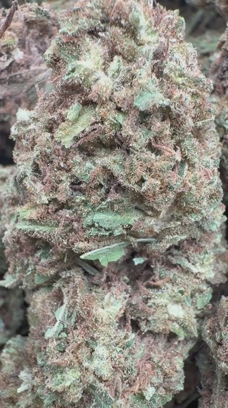 Load video: Banjerine - Bulk - Sativa