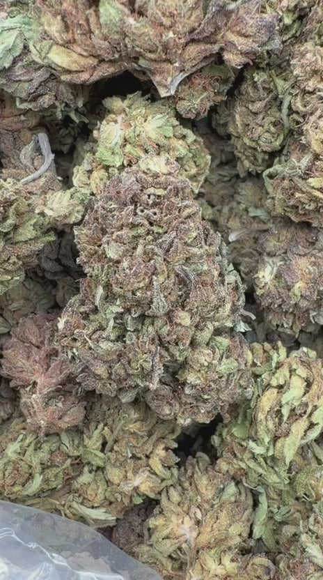Cargar vídeo: Purple Hindu - A granel - Indica 
