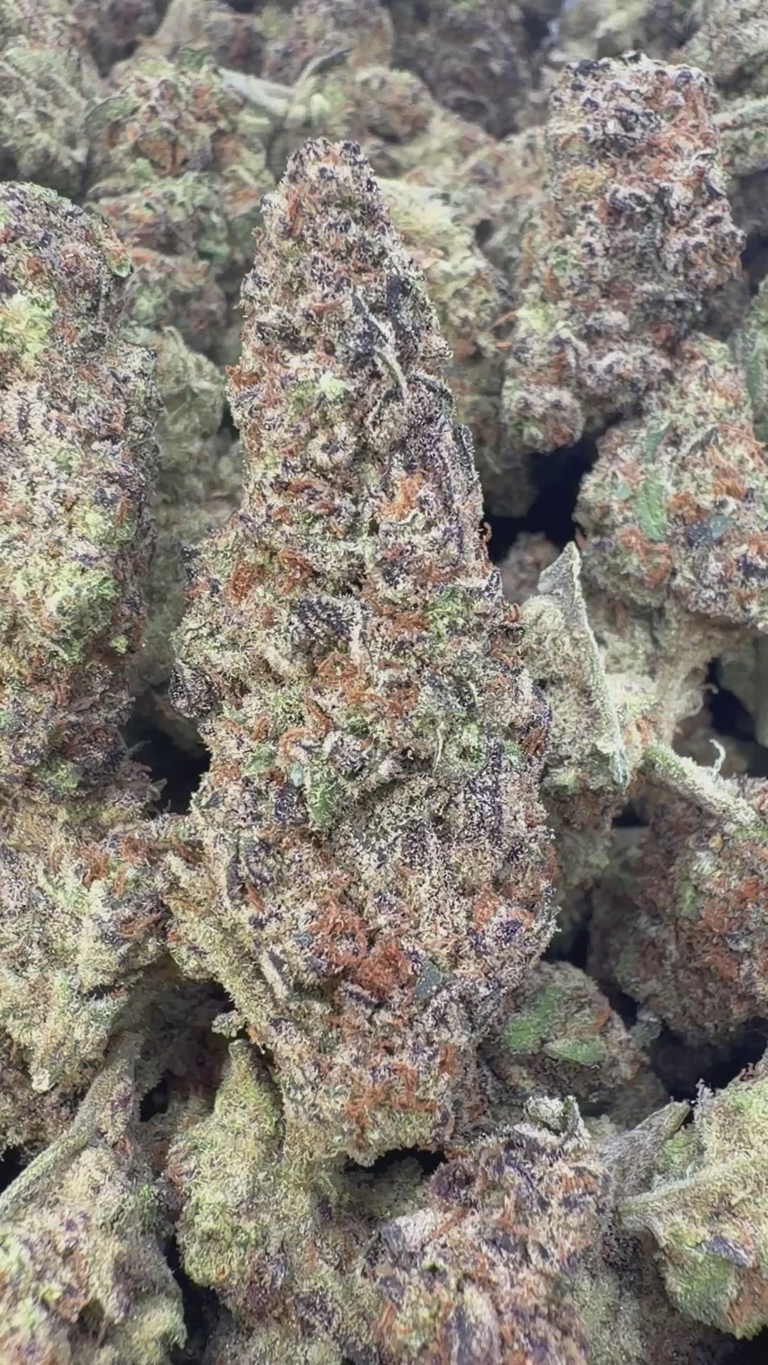 Load video: Peanut Butter Souffle Indoor - Bulk - Indica