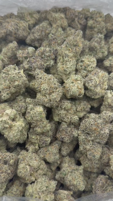 Load video: Blueberry Cough - Bulk - Sativa