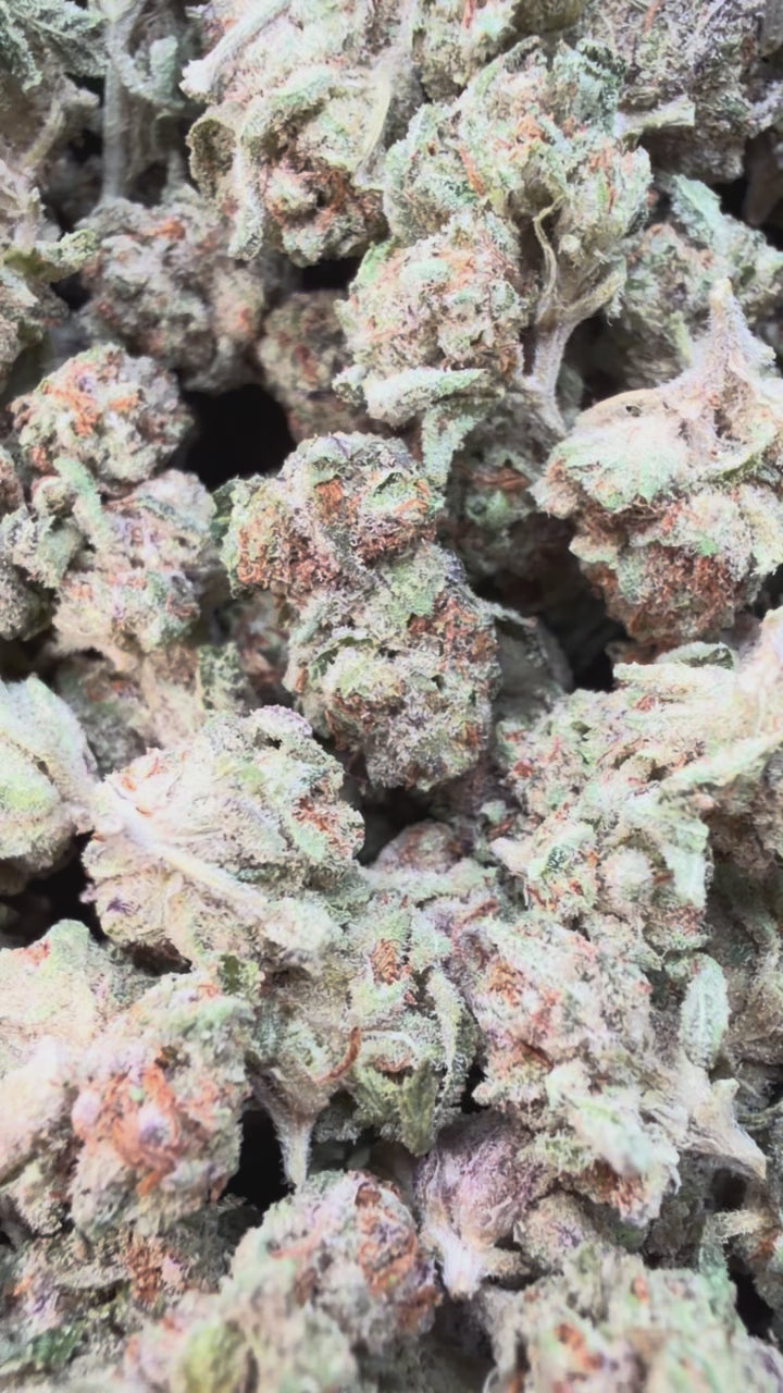 Load video: Rainbow Runtz Minis - Bulk Minis - Hybrid