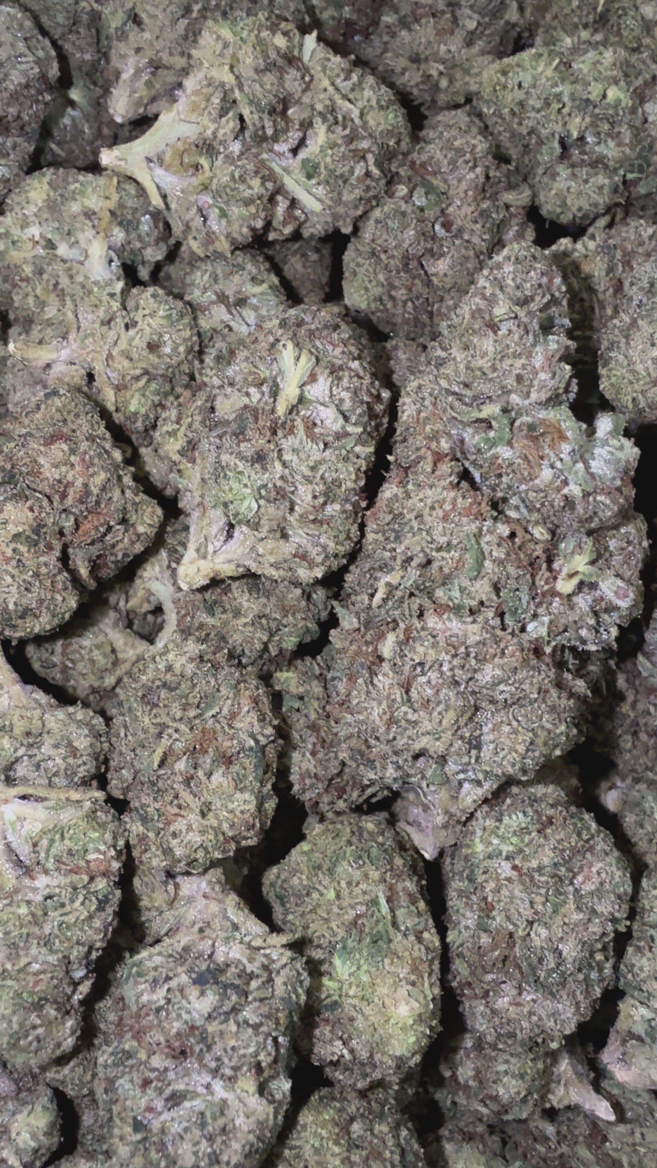 Load video: RS11 - Bulk - Hybrid