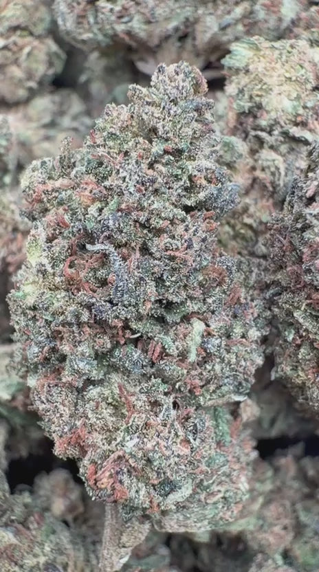 Load video: Bruce Banner - Bulk - Hybrid