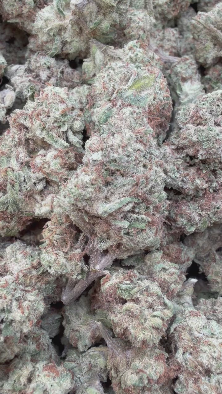 Load video: Raspberry Kush Mediums - Bulk Mediums - Indica