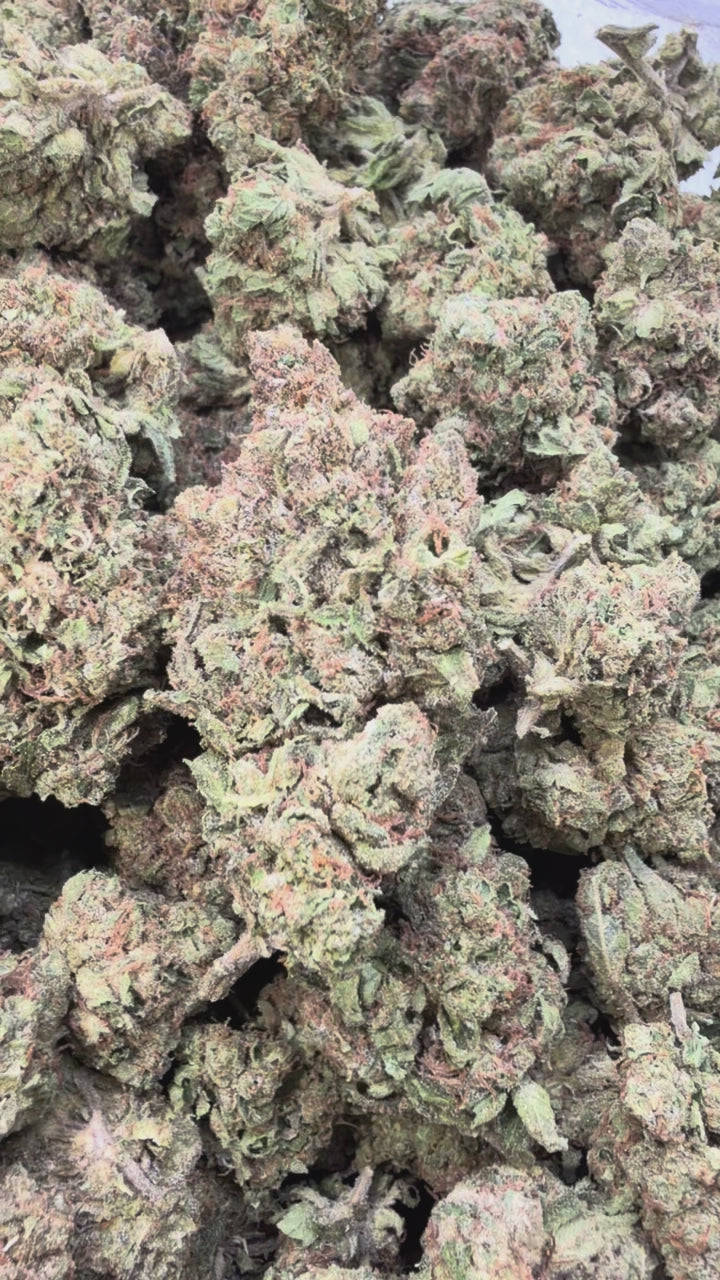 Load video: Pink Runtz - Bulk - Hybrid