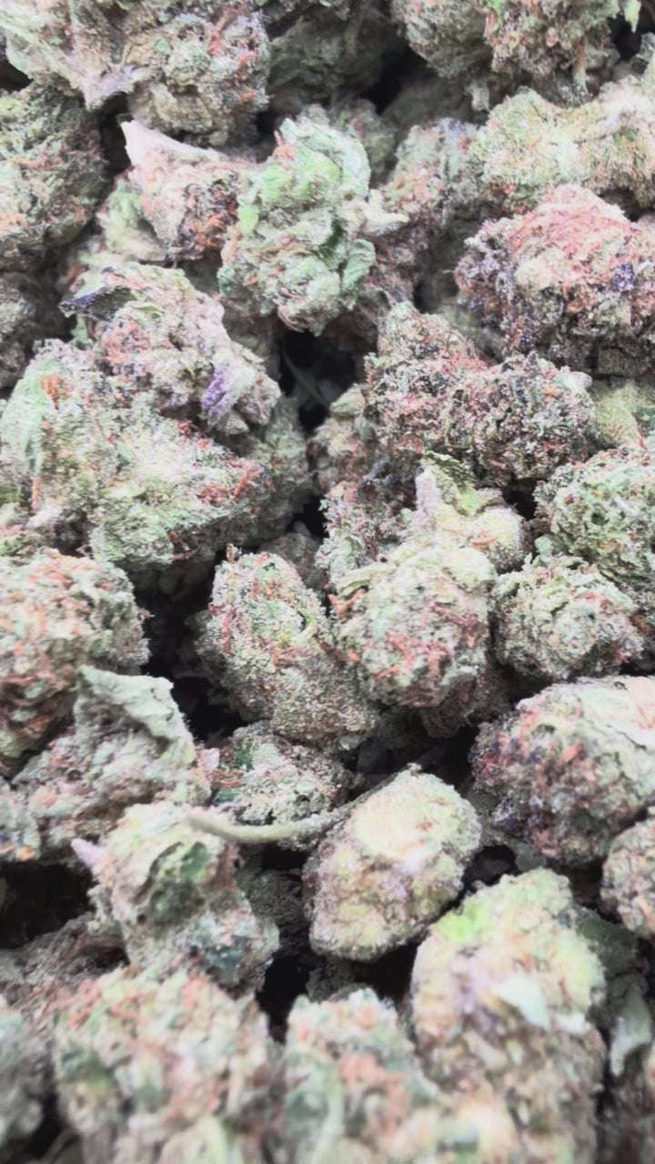 Load video: Gelatti Littles - Bulk Littles - Hybrid