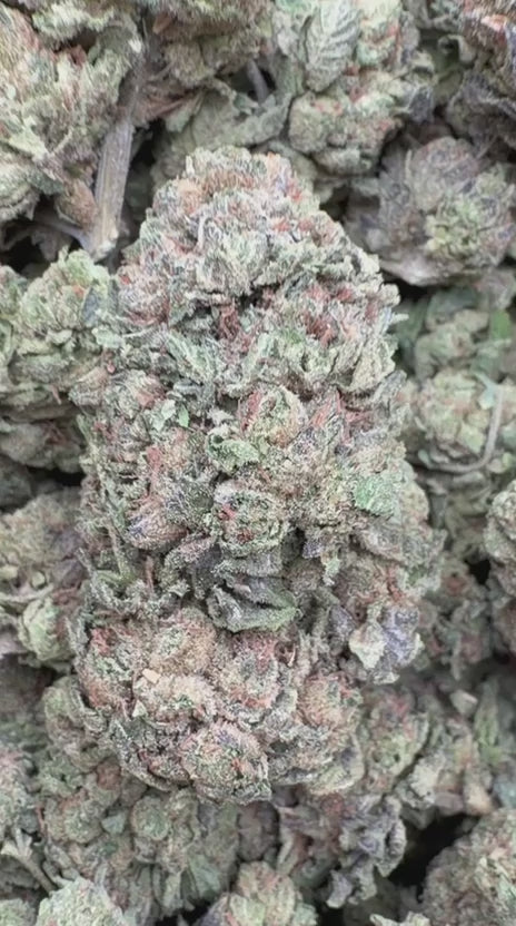 Load video: Blue Andes - Bulk - Hybrid