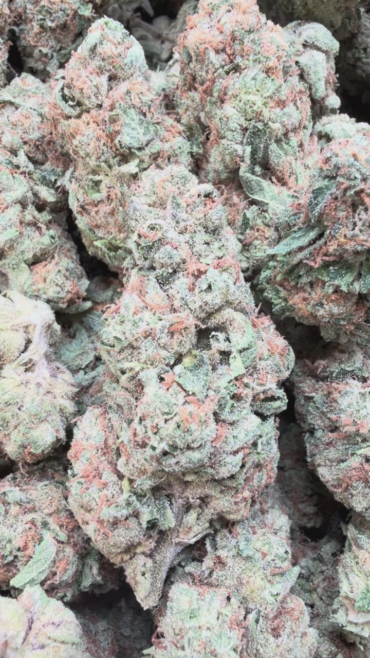 Load video: Glitterati - Bulk - Indica