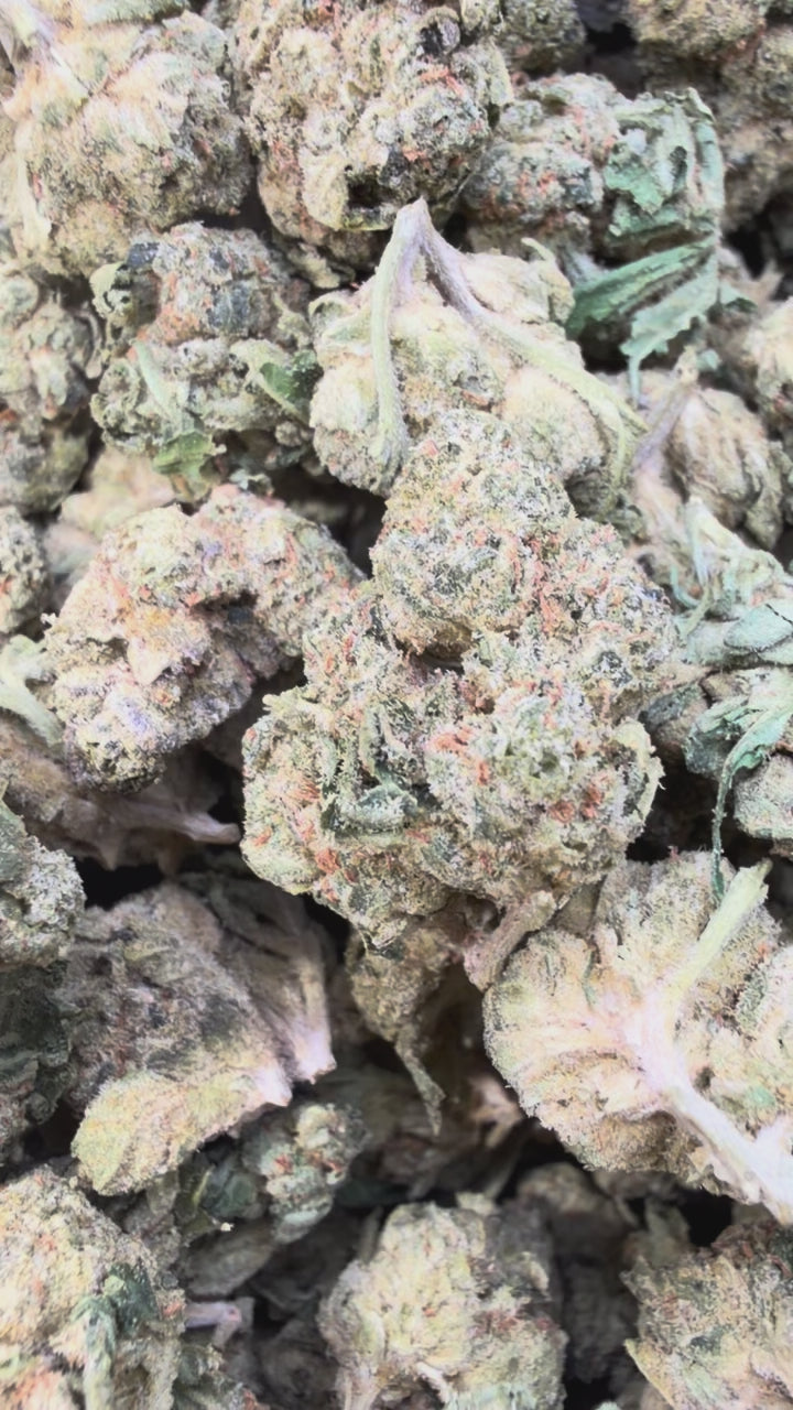 Load video: Gelatti Mediums - Bulk Mediums - Hybrid