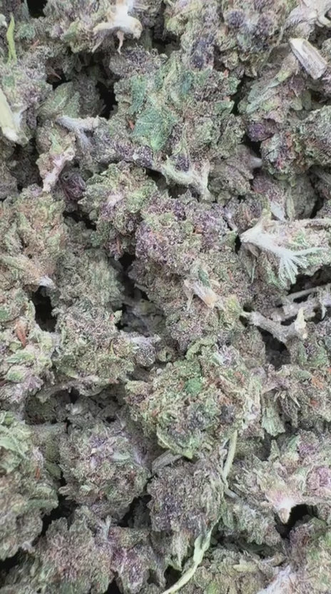 Cargar vídeo: Purple Hindu - A granel - Indica 