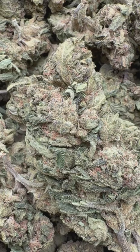 Cargar vídeo: Luz piloto - A granel - Indica