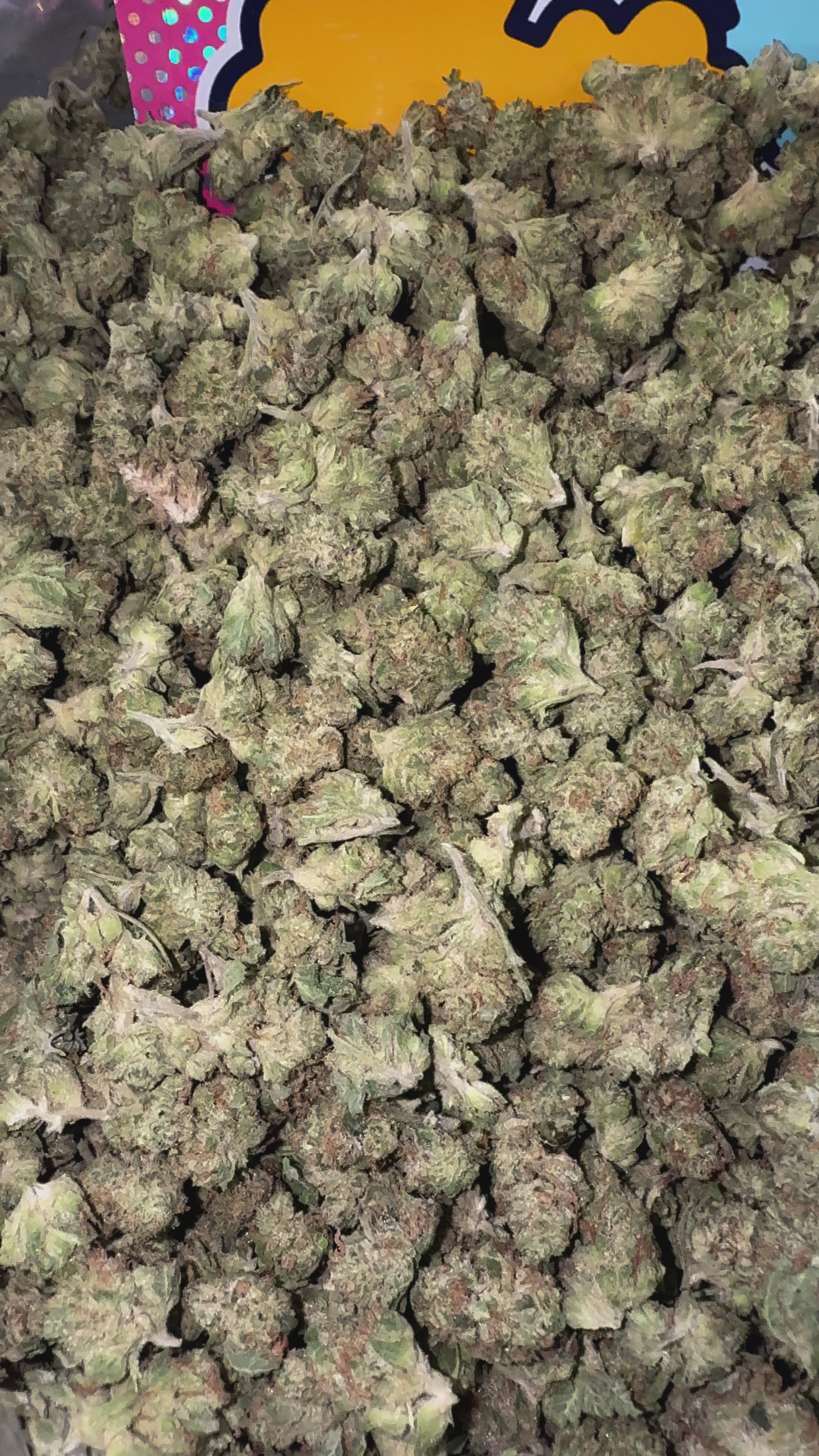 Load video: Tahoe OG Littles - Bulk Littles - Indica