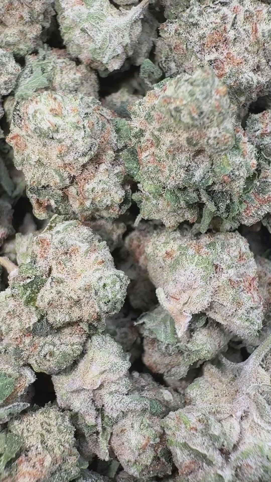 Load video: Kush Mintz Littles - Bulk Littles - Hybrid