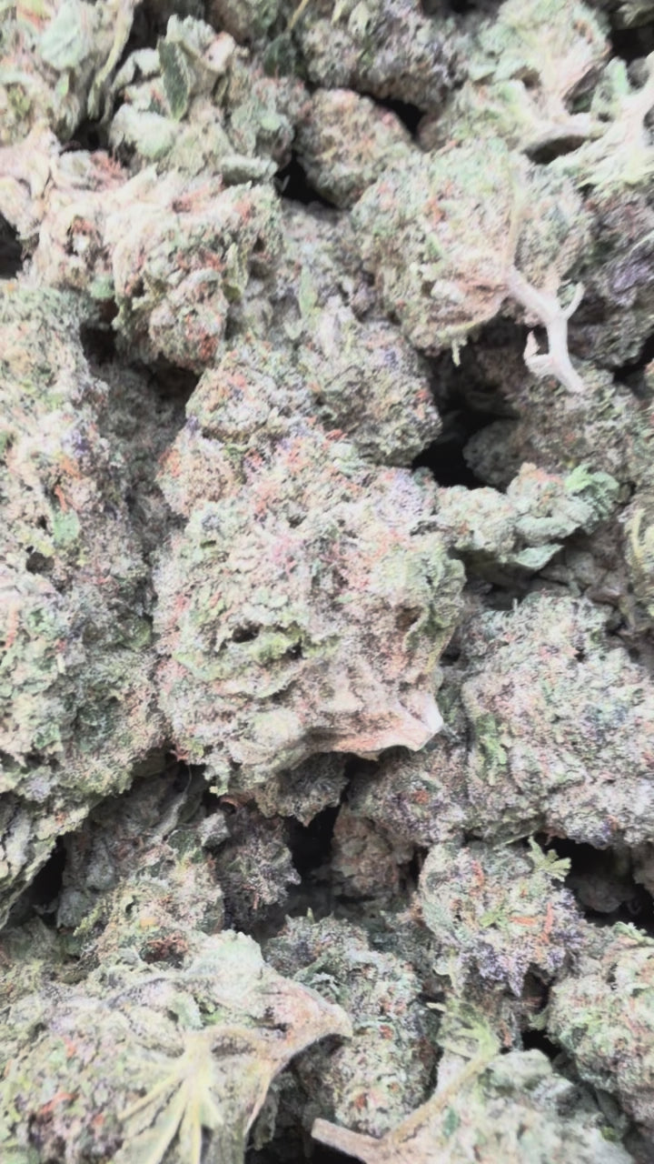 Load video: Strawberry Gelato - Bulk - Hybrid