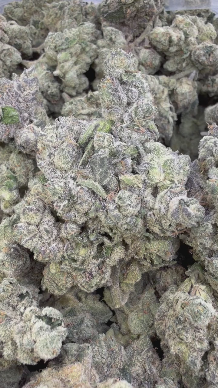 Load video: Bolo Runtz - Bulk- Indica